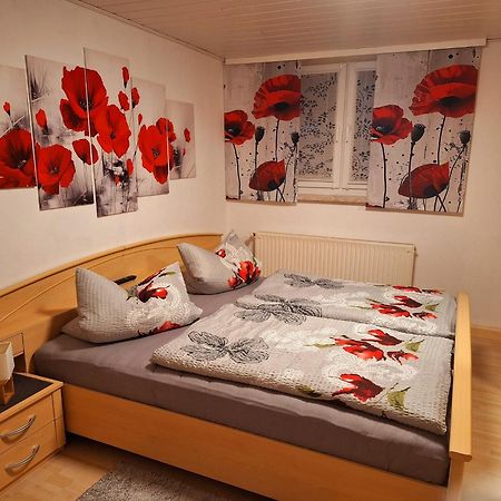 Ferienwohnung Im Erzgebirge Neuhausen  Esterno foto
